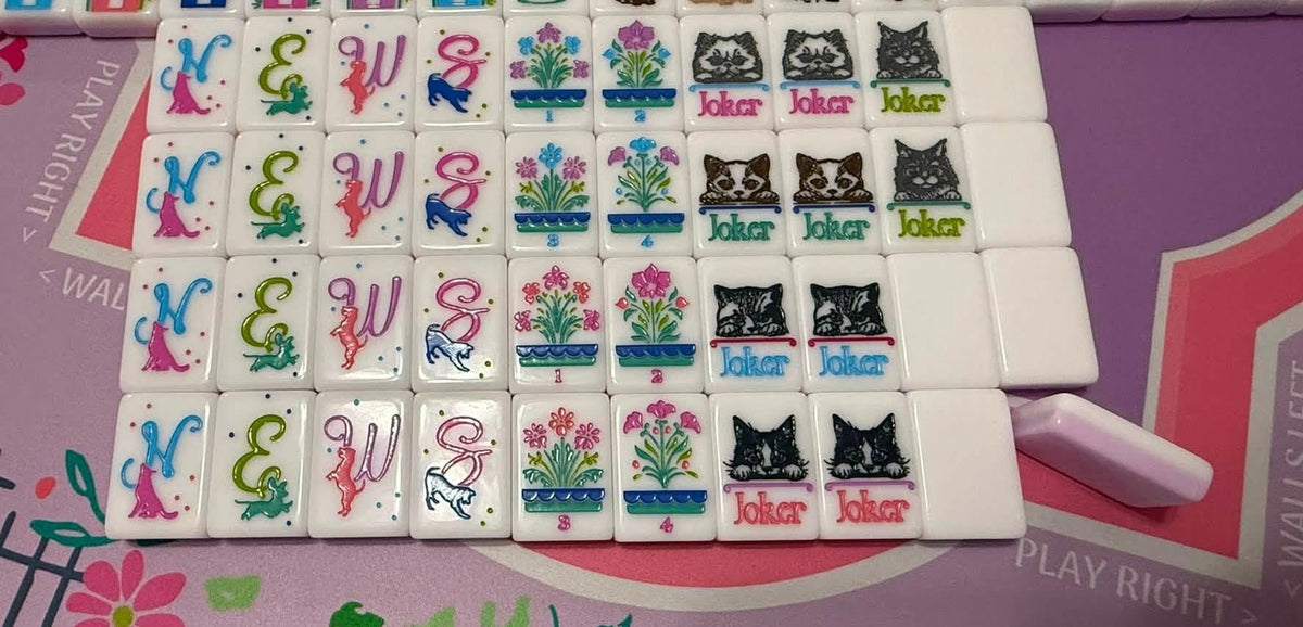 Best in Show mahjong set with clear dice, drawstring pouch and magnetic closure box